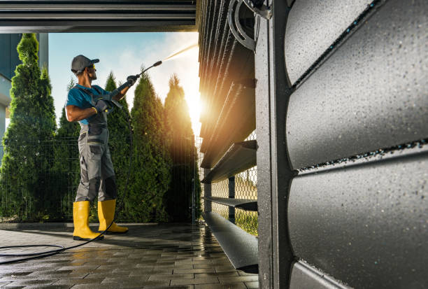 Best Pressure Washing Driveway  in Pine Hill, NJ